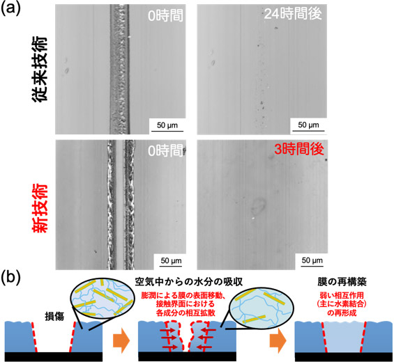 図3 (a) 従来技術（上）および新技術（下）で作製したナノコンポジット皮膜の表面につけた傷の修復過程を示す光学顕微鏡像。および (b) ナノコンポジット皮膜の自己修復推定メカニズム