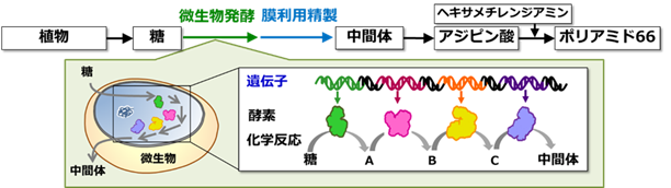 図2　微生物発酵技術