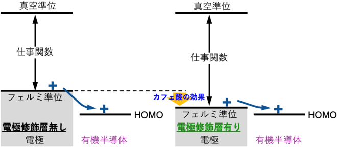 図2 電極修飾層の挿入による有機半導体／電極界面におけるエネルギーダイアグラムの変化（左：電極修飾層なし、右：電極修飾層あり）。 HOMOは、正電荷を受け取る有機半導体のエネルギーレベルのこと。