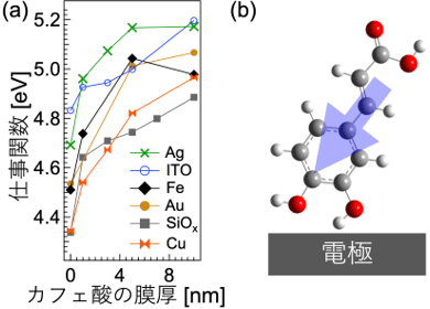 図3 (a)カフェ酸を様々な電極に真空蒸着した際の膜厚に対する仕事関数変化。(b) 赤外反射吸収分光から予測される分子の配向状況。<br>図中青矢印は、永久双極子モーメントの向き。