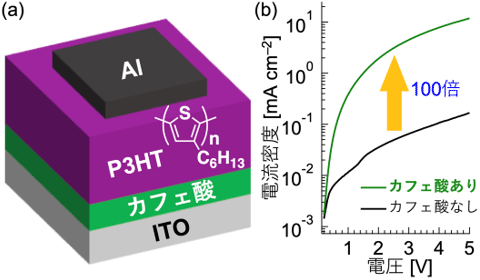 図4 (a)本研究で作製したP3HTデバイスの構造。(b)カフェ酸層の挿入による電流密度―電圧特性の変化。