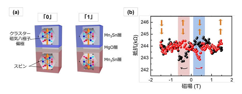 図2：(a) Mn 3 Sn「0」と「からなるて測定したMnレンジ色の矢印は状態（↑ ↓、↓ ↑）1」の情報に対応するMTJ 2値のトンネル磁気抵抗効果の模式図素子のクラスター磁気八極子偏極の平行と反平行状態であり、反強磁性体を示す3 Sn/トンネル障壁層（MgO）/Mn 3 SnのMTJ。( b素子における磁気抵抗) 効果2つのMn 3 Sn室温におい。図中のオ層におけるクラスター磁気八極子偏極の方向を示している。反平行は平行状態（↑ ↑、↓ ↓）よりも電気抵抗が小さくなっている。