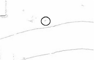 (図の説明文)