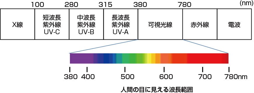 図2：光の波長範囲